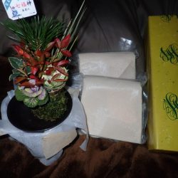 Aquanaut（アクアノート） 釣果