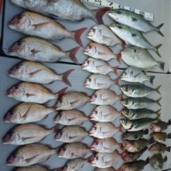 磯部釣船 直栄丸 釣果