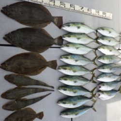 磯部釣船 直栄丸 釣果