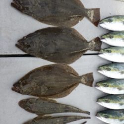 磯部釣船 直栄丸 釣果