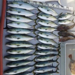 磯部釣船 直栄丸 釣果