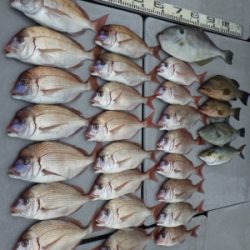 磯部釣船 直栄丸 釣果