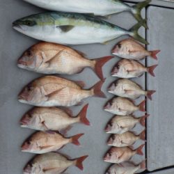 磯部釣船 直栄丸 釣果