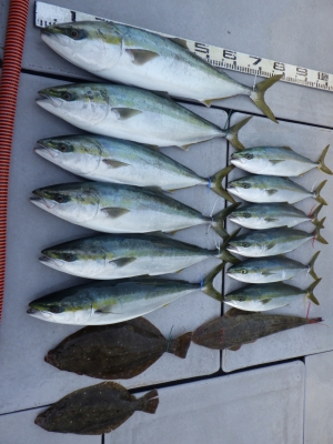 磯部釣船 直栄丸 釣果