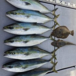 磯部釣船 直栄丸 釣果