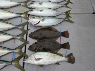磯部釣船 直栄丸 釣果