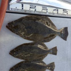 磯部釣船 直栄丸 釣果