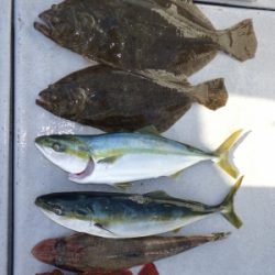 磯部釣船 直栄丸 釣果