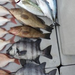 磯部釣船 直栄丸 釣果