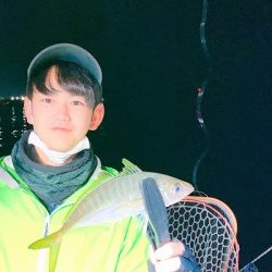 フィシングボートAir(エアー) 釣果