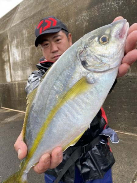 松栄丸 釣果