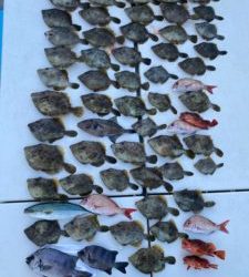 さぶろう丸 釣果