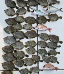 さぶろう丸 釣果