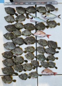 さぶろう丸 釣果