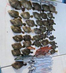 さぶろう丸 釣果