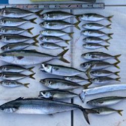 さぶろう丸 釣果