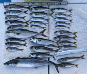 さぶろう丸 釣果