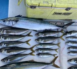 さぶろう丸 釣果