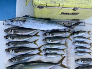 さぶろう丸 釣果