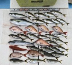 さぶろう丸 釣果