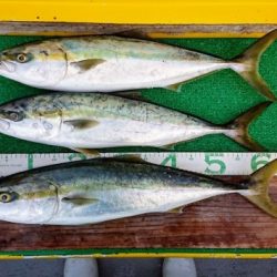 火遠理丸(ほおりまる) 釣果