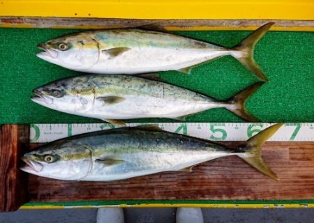 火遠理丸(ほおりまる) 釣果