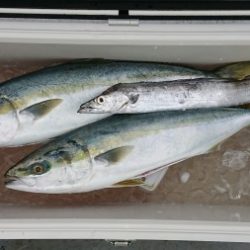 火遠理丸(ほおりまる) 釣果