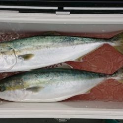 火遠理丸(ほおりまる) 釣果