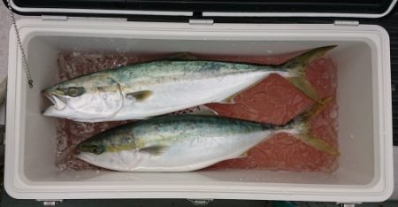 火遠理丸(ほおりまる) 釣果