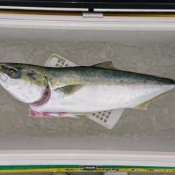 火遠理丸(ほおりまる) 釣果