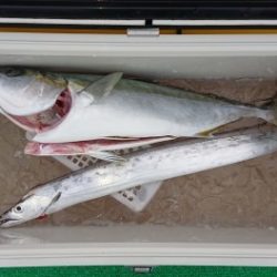 火遠理丸(ほおりまる) 釣果