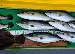 火遠理丸(ほおりまる) 釣果