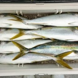 火遠理丸(ほおりまる) 釣果