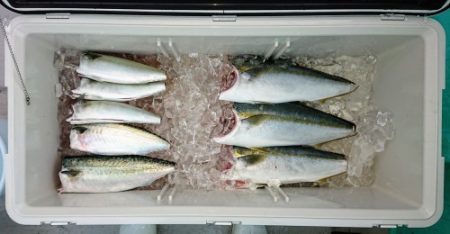 火遠理丸(ほおりまる) 釣果