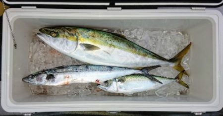 火遠理丸(ほおりまる) 釣果