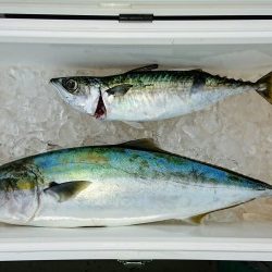 火遠理丸(ほおりまる) 釣果