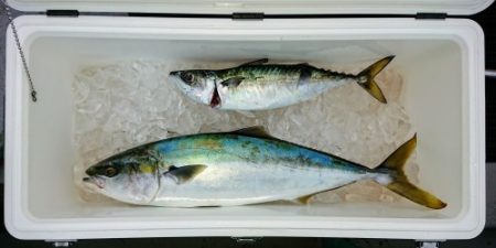 火遠理丸(ほおりまる) 釣果