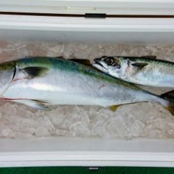 火遠理丸(ほおりまる) 釣果