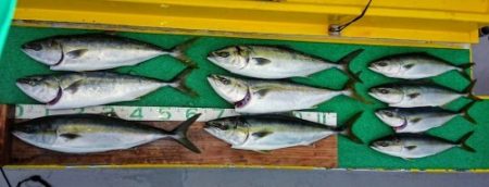 火遠理丸（ほおりまる） 釣果