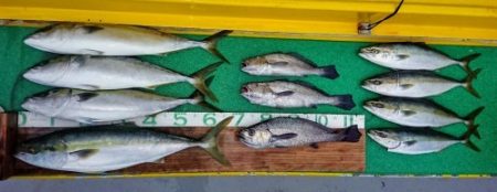 火遠理丸(ほおりまる) 釣果