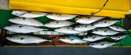 火遠理丸（ほおりまる） 釣果