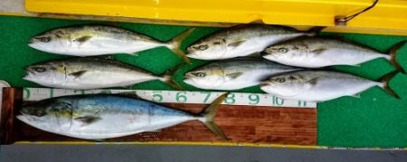 火遠理丸(ほおりまる) 釣果