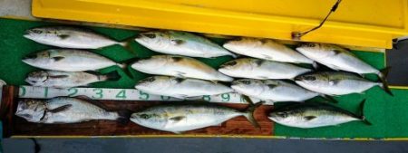 火遠理丸（ほおりまる） 釣果