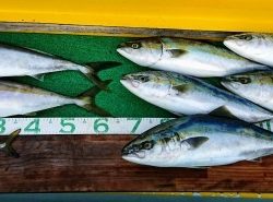 火遠理丸(ほおりまる) 釣果