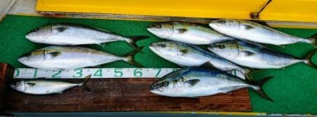 火遠理丸(ほおりまる) 釣果