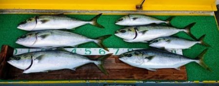 火遠理丸(ほおりまる) 釣果