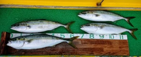 火遠理丸(ほおりまる) 釣果