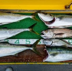 火遠理丸(ほおりまる) 釣果