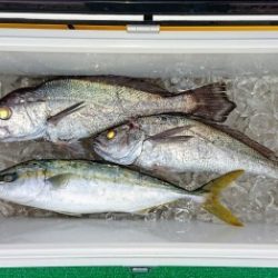 火遠理丸(ほおりまる) 釣果