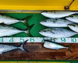 火遠理丸(ほおりまる) 釣果